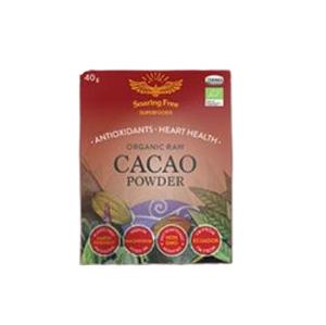 Organic Raw Cacao Powder 40g