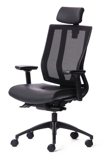 NETONE High back ergonomic office chair