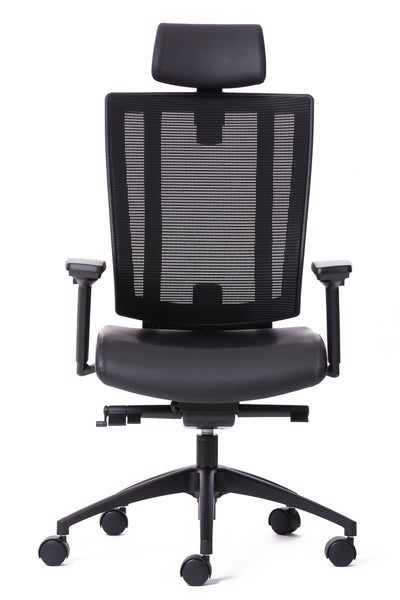 NETONE High back ergonomic office chair