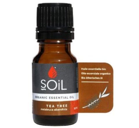 Soil Organic tea tree oil (Melaleura alternifolia) 10ml