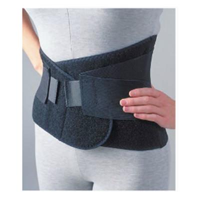 Industrial Lumbar Support