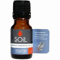Soil Eucalyptus Essential Oil